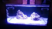 [TodoMarino.com] shallow bommie