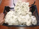 [TodoMarino.com] Roca muerta buena Madrid La Elipa - Madrid. Zona La Elipa