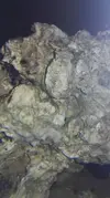[TodoMarino.com] Nuevo con un nano, quien puede decirme que puede ser