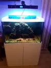 [TodoMarino.com] Desmonte acuario 300 litros - Madrid ( valdemoro)