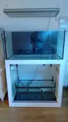 [TodoMarino.com] Vendo Acuario 250l + Sump 100l+Mesa+Pantalla Ati 39w x 6. - Granada