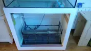 [TodoMarino.com] Vendo Acuario 250l + Sump 100l+Mesa+Pantalla Ati 39w x 6. - Granada