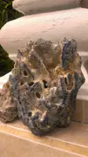 [TodoMarino.com] Pude alguien confirmar si este esqueleto pertenece a un coral azul?