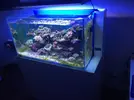 [TodoMarino.com] Urna y sump siroco con mesa inox - Murcia