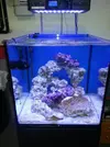 [TodoMarino.com] Desmonto mi acuario cubo 60x60 - Barcelona