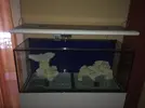 [TodoMarino.com] Vendo acuario nuevo a estrenar completo - zaragoza (capital)