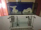 [TodoMarino.com] Vendo acuario nuevo a estrenar completo - zaragoza (capital)