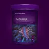 [TodoMarino.com] Kh bajo con aquaforest