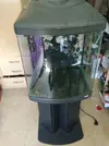 [TodoMarino.com] Vendo Acurario Blau compact reef 130litros completo. - Alicante