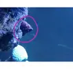 [TodoMarino.com] Como eliminar o controlar la ciano bacteria ???