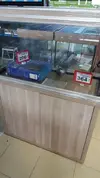 [TodoMarino.com] GRANADA VENDO ACUARIO 200 LITROS, ROCA, CORALES  Y ALGO DEL EQUIPO - GRANADA