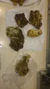 [TodoMarino.com] nano 40 litros + 10 litros sump