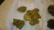 [TodoMarino.com] nano 40 litros + 10 litros sump
