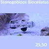 [TodoMarino.com] Fotos de peces en stock!!!