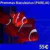 [TodoMarino.com] Fotos de peces en stock!!!