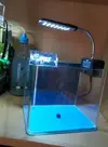 [TodoMarino.com] Barcelona - Urna de 3l equipado con luz led y filtro de mochila, - Barcelona