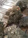 [TodoMarino.com] Vendo roca - Mataro (barcelona)