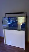 [TodoMarino.com] Acuario sirocco 270 - Ripollet (Barcelona)