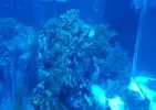 [TodoMarino.com] Ayuda!!!