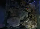 [TodoMarino.com] Material GROTECH,EHEIM,AQUAMEDIC,JEBAO,MARINE PURE......... - malaga