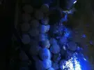 [TodoMarino.com] Material GROTECH,EHEIM,AQUAMEDIC,JEBAO,MARINE PURE......... - malaga