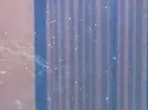 [TodoMarino.com] Puntos blancos en el cristal de mi acuario