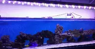 [TodoMarino.com] Vendo pantalla leds 180 cm de larga (Madrid) - Fuenlabrada (Madrid)