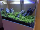 [TodoMarino.com] Vendo Acuario 65+30L seminuevo - Madrid