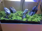 [TodoMarino.com] Vendo Acuario 65+30L seminuevo - Madrid