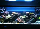 [TodoMarino.com] Vendo pantalla sirocco Zenit 2 hqi + leds. Envio - Montcada i Reixac