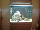 [TodoMarino.com] Red sea 130 ,proyecto, agua y roca traspasada, ph 7,6 ,no2 1.0, nh4 0,05 ayuda