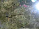 [TodoMarino.com] Que es esto??