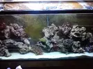 [TodoMarino.com] sump interno