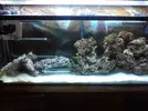 [TodoMarino.com] sump interno
