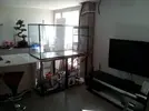 [TodoMarino.com] Acuario de 150x75x80 de alto y sump de 130x50x40