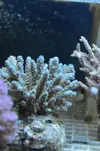 [TodoMarino.com] Superacros en Biosfera - Valencia