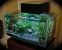 [TodoMarino.com] Fluval Edge + bombilla LED Aquamedic