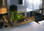 [TodoMarino.com] Fluval Edge + bombilla LED Aquamedic