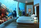 [TodoMarino.com] Mi nuevo acuario jejeje