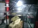 [TodoMarino.com] Problema con rebosadero Xaqua in-out  FOTOS