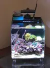 [TodoMarino.com] MICRO HÁBITAT 15 primeras impresiones