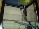 [TodoMarino.com] Ayuda ruido desagradable en sump