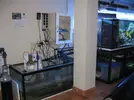 [TodoMarino.com] Mi pecera (2ª parte)