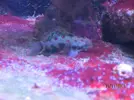 [TodoMarino.com] Mi primer marino después de casi 2 años.