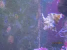 [TodoMarino.com] Mi primer marino después de casi 2 años.