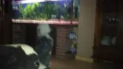 [TodoMarino.com] Relajación perruna....