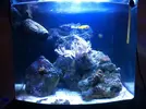 [TodoMarino.com] Os presento a mi NANO 58L BLAU