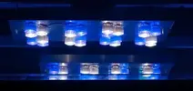 [TodoMarino.com] Fabricación pantalla de leds para acuarios de 1200 litros, 300 y 200