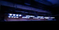 [TodoMarino.com] Fabricación pantalla de leds para acuarios de 1200 litros, 300 y 200