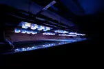[TodoMarino.com] Fabricación pantalla de leds para acuarios de 1200 litros, 300 y 200